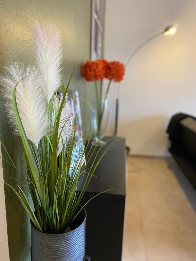 Appartements Vue Mer Saint-Florent  Eksteriør billede